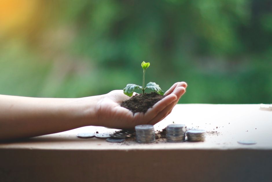 Entretien et Maintenance de Labels Financiers (ISR, Greenfin, Finansol) : La Checklist Annuelle