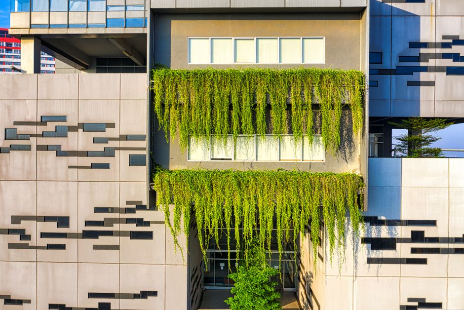 Guide Complet 2026 : Immobilier Écologique & SCPI Vertes