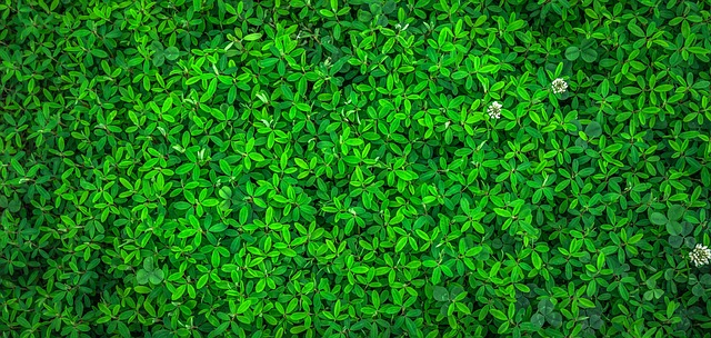 Optimiser l'Efficacité de Labels Financiers (ISR, Greenfin, Finansol) : 7 Astuces de Spécialiste